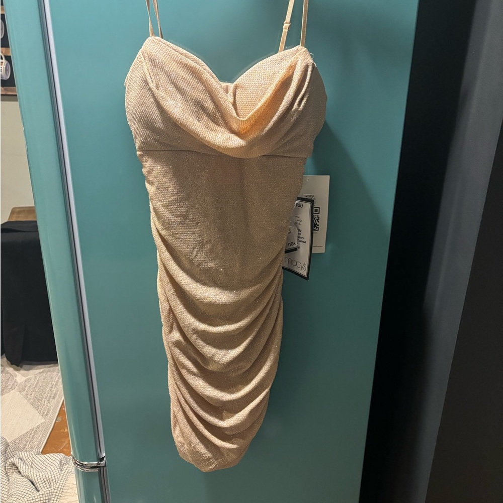 BRAND NEW NEVER WORN champaign mini dress
